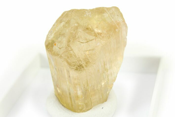 Terminated Yellow Marialite (Scapolite) Crystal - Tanzania #317205